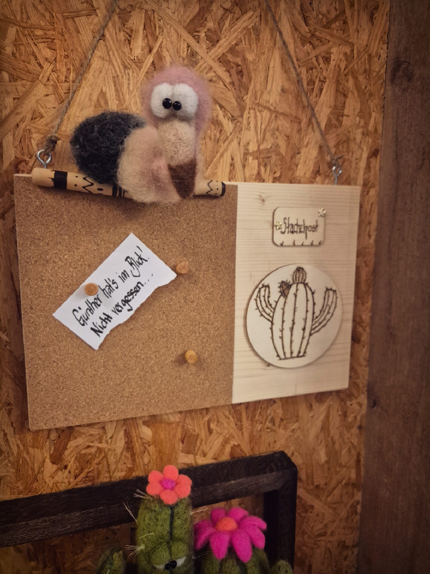 Picsart_26-02-05_13-02-54-103